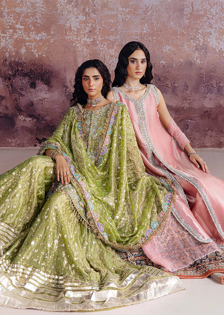 SRA-RYDA luxury Organza formal suit | SalmaQadir