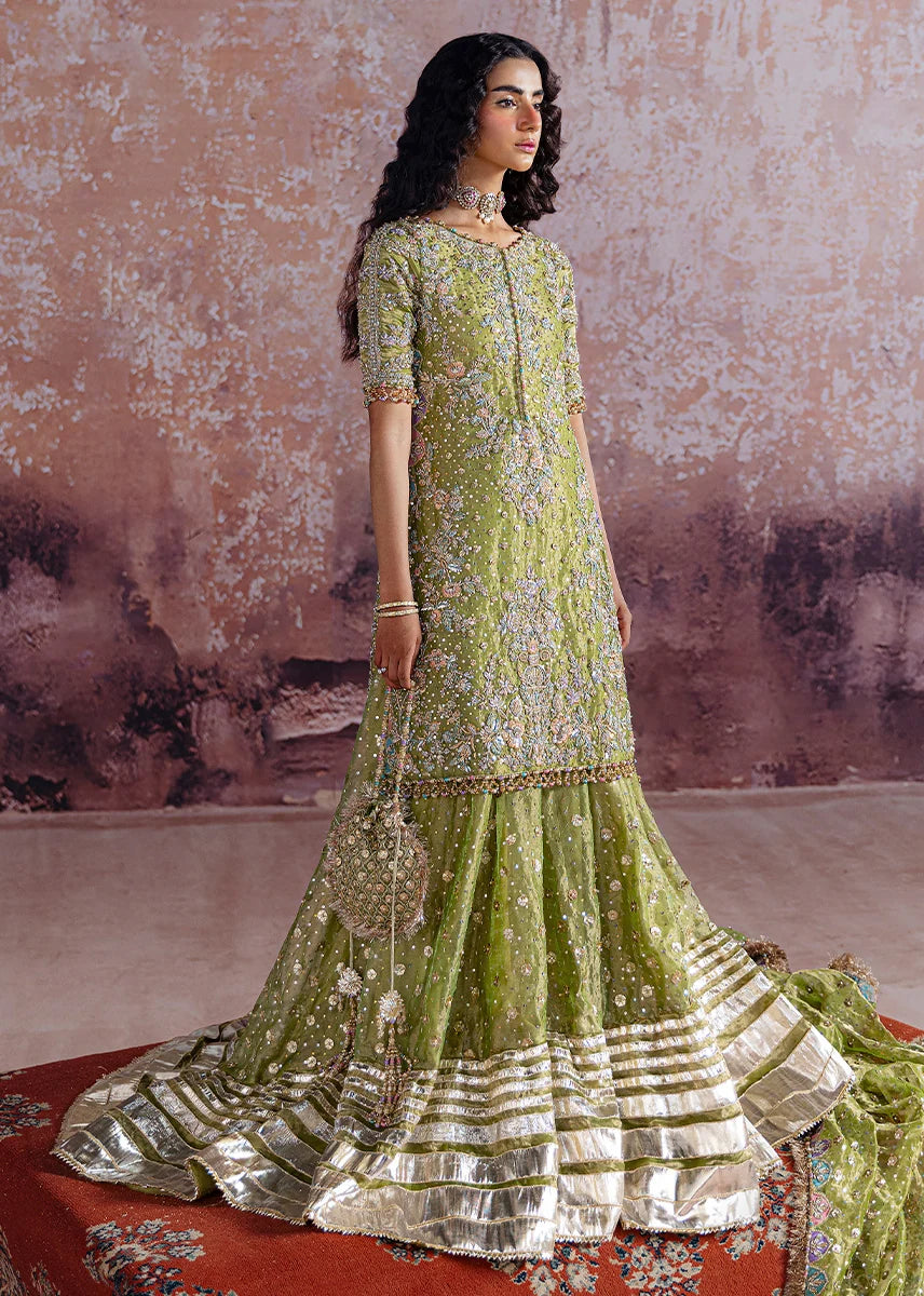 Shadan luxury organza suit by Salmaqadir