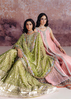 Shadan luxury organza suit by Salmaqadir