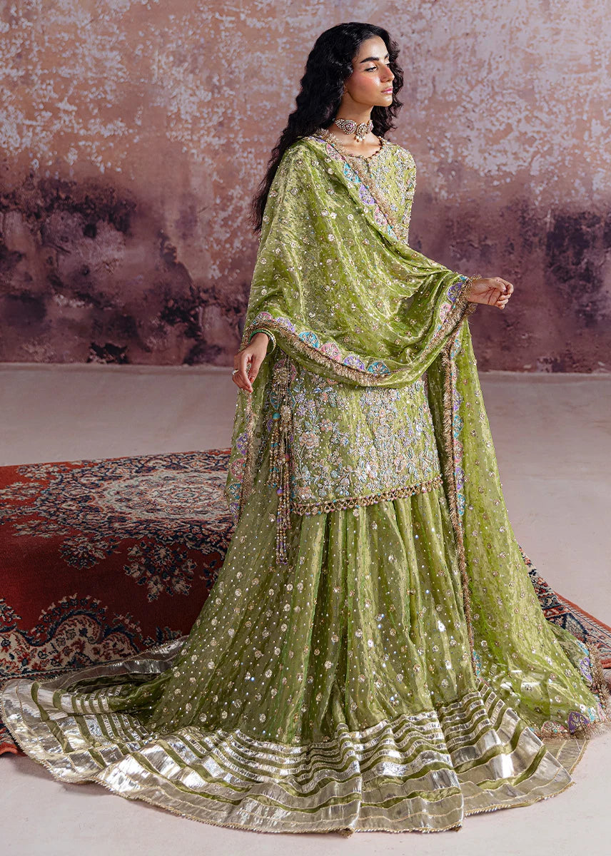 Shadan luxury organza suit by Salmaqadir