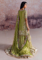 Shadan luxury organza suit by Salmaqadir