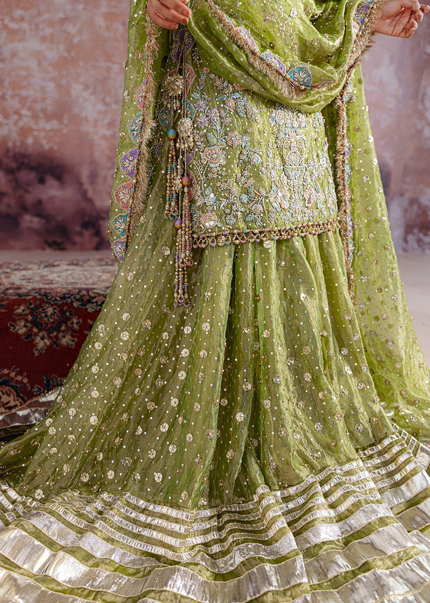 Shadan luxury organza suit by Salmaqadir