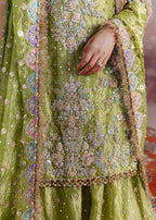 Shadan luxury organza suit by Salmaqadir