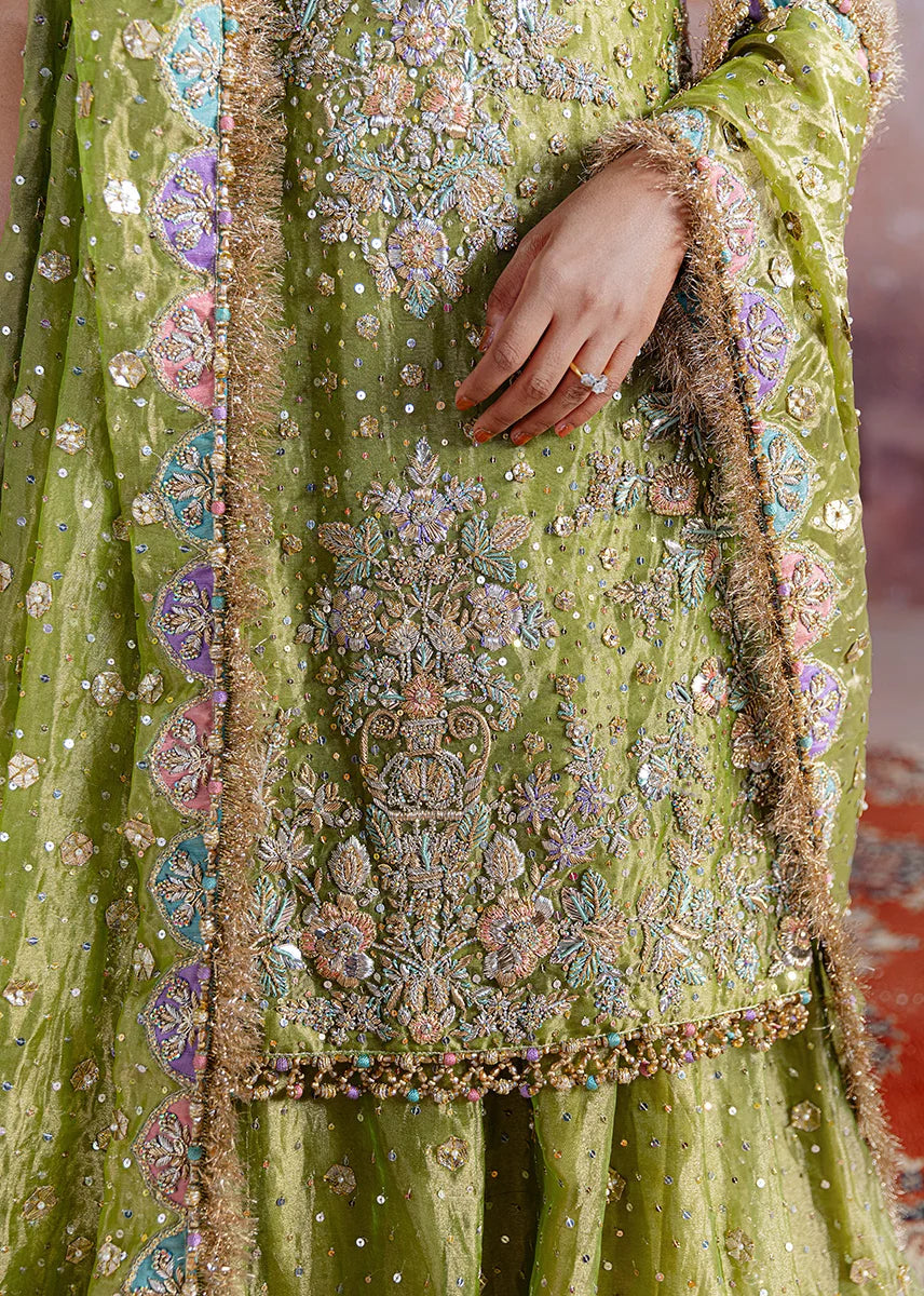 Shadan luxury organza suit by Salmaqadir