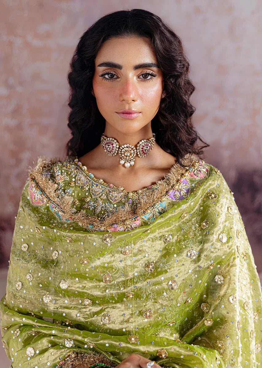 Shadan luxury organza suit by Salmaqadir